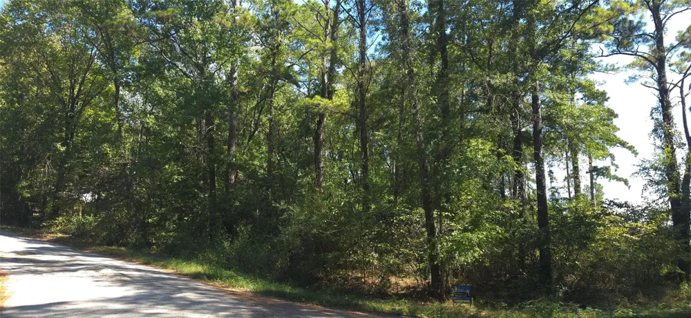 Cove Dr Point Blank, TX 77364