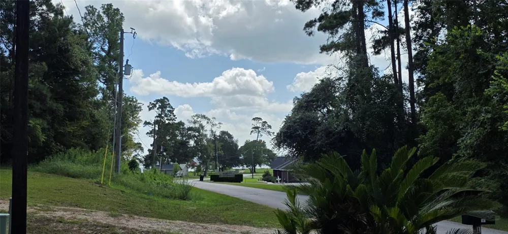 Cove Dr Point Blank, TX 77364