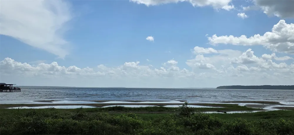 Cove Dr Point Blank, TX 77364