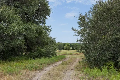 9365 Bauer Road