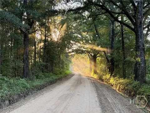Old Moore Road #4