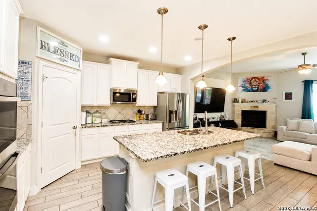 10249 BRICEWOOD PL San Antonio, TX 78254