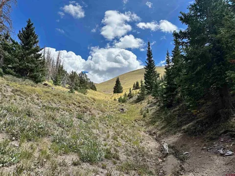 Sawmill Gulch Road