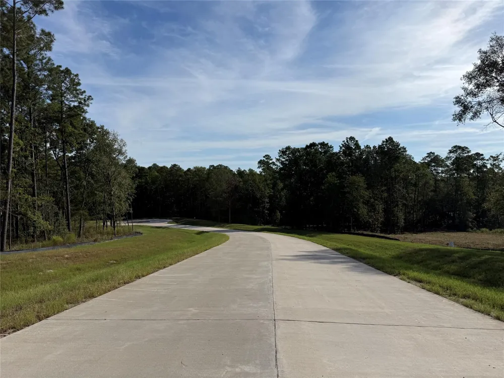 99 Pine Timber Dr Willis, TX 77378