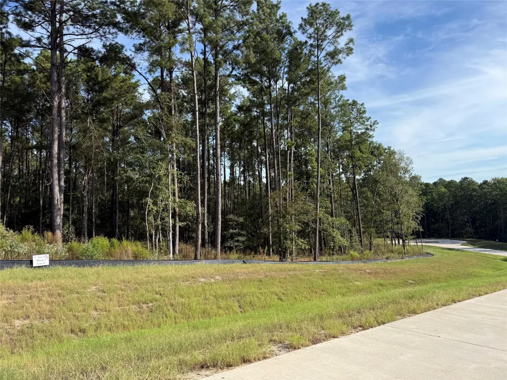 99 Pine Timber Dr Willis, TX 77378