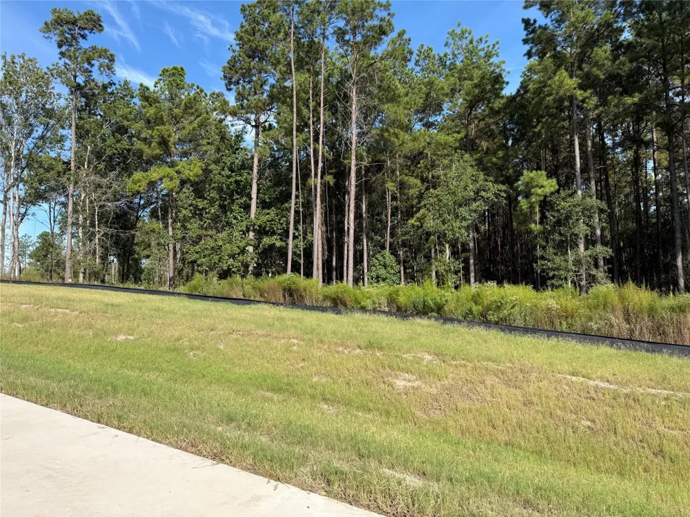 99 Pine Timber Dr Willis, TX 77378