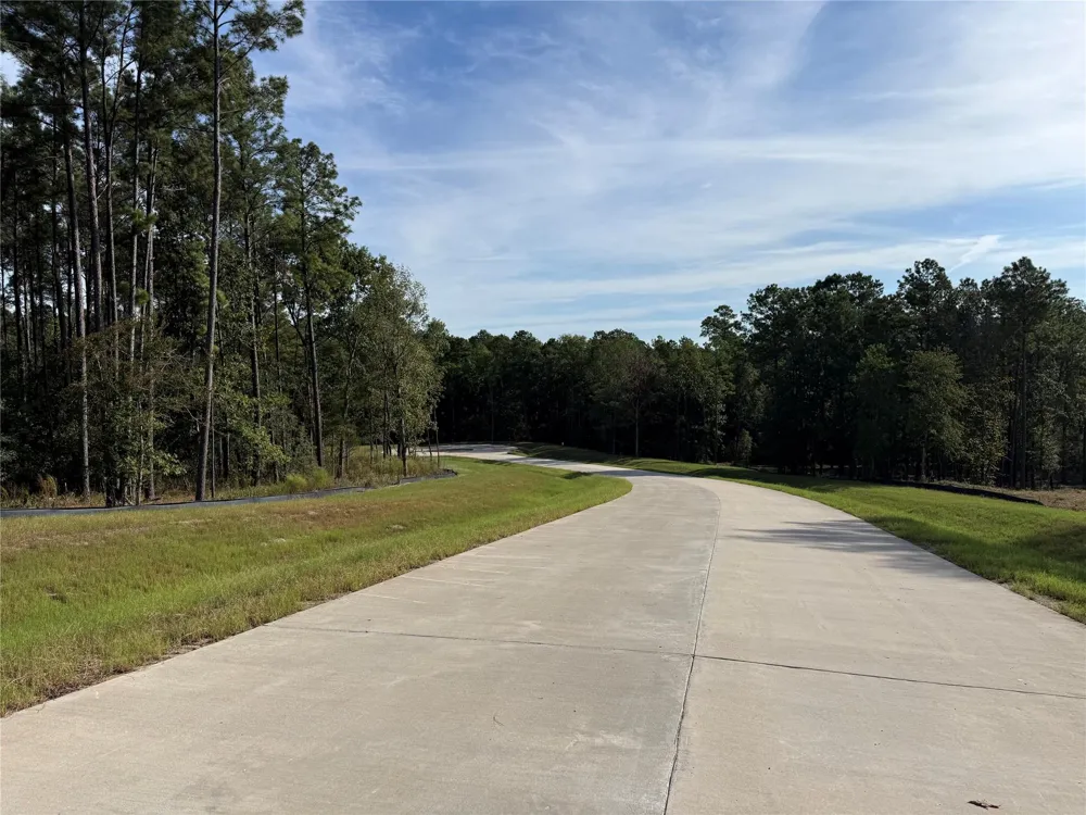 99 Pine Timber Dr Willis, TX 77378