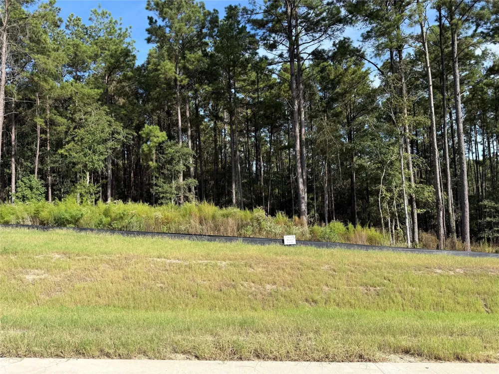 99 Pine Timber Dr Willis, TX 77378