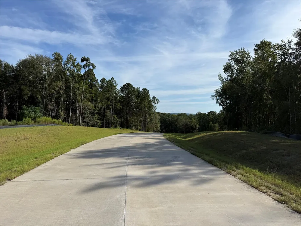 99 Pine Timber Dr Willis, TX 77378