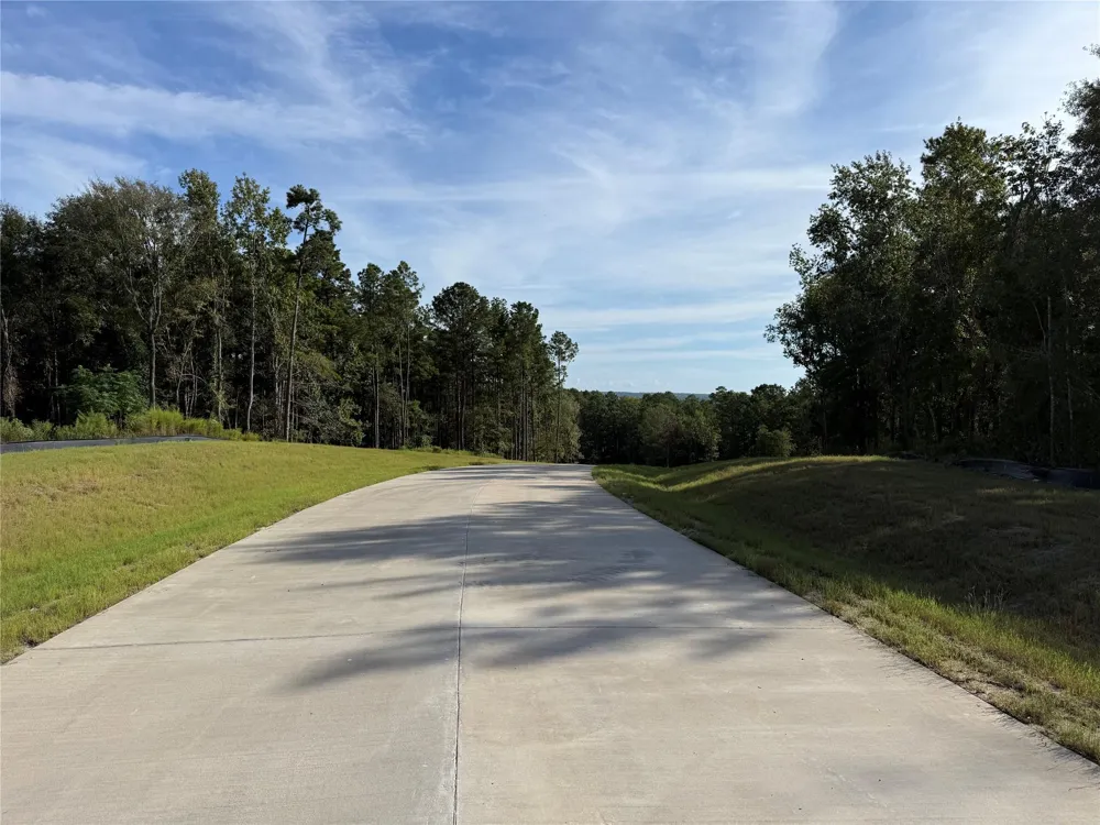 99 Pine Timber Dr Willis, TX 77378
