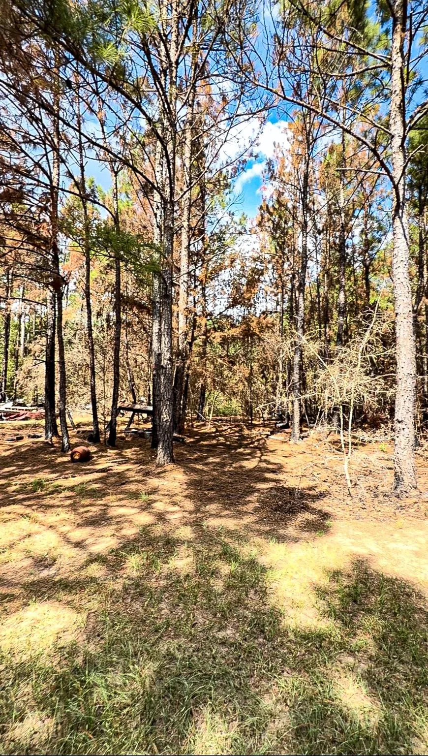 601 Oak Ridge Road Willis, TX 77378