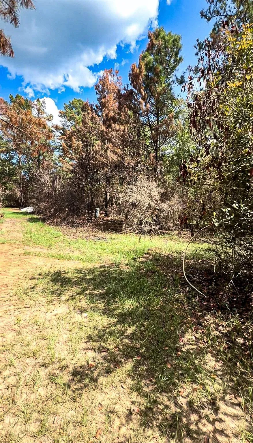 601 Oak Ridge Road Willis, TX 77378