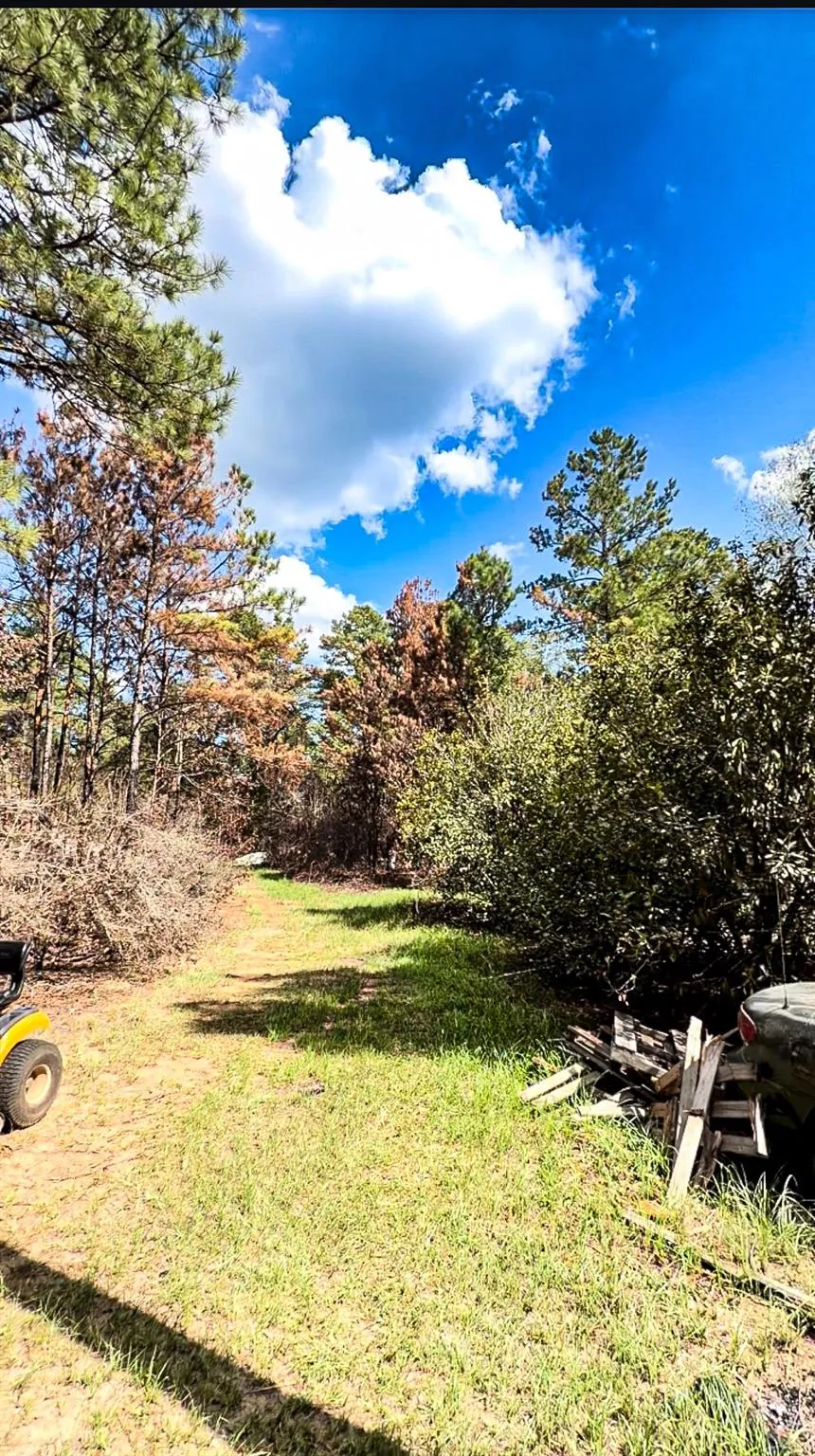 601 Oak Ridge Road Willis, TX 77378