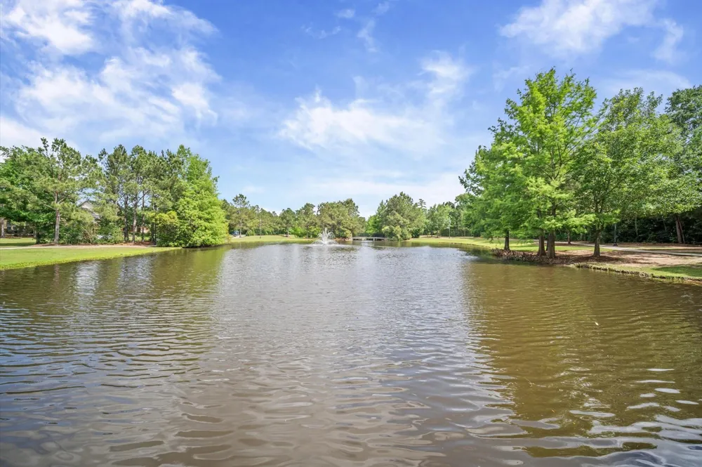 241 W Tupelo Green Circle Spring, TX 77389