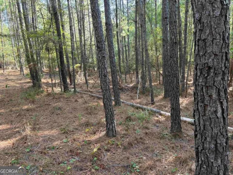 672 Twin Bridges RD