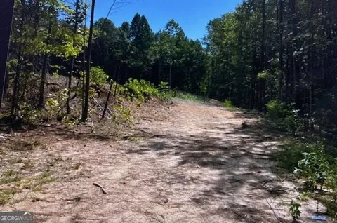315 Delta LN