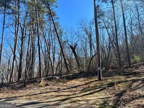 125 Gum Wood CT