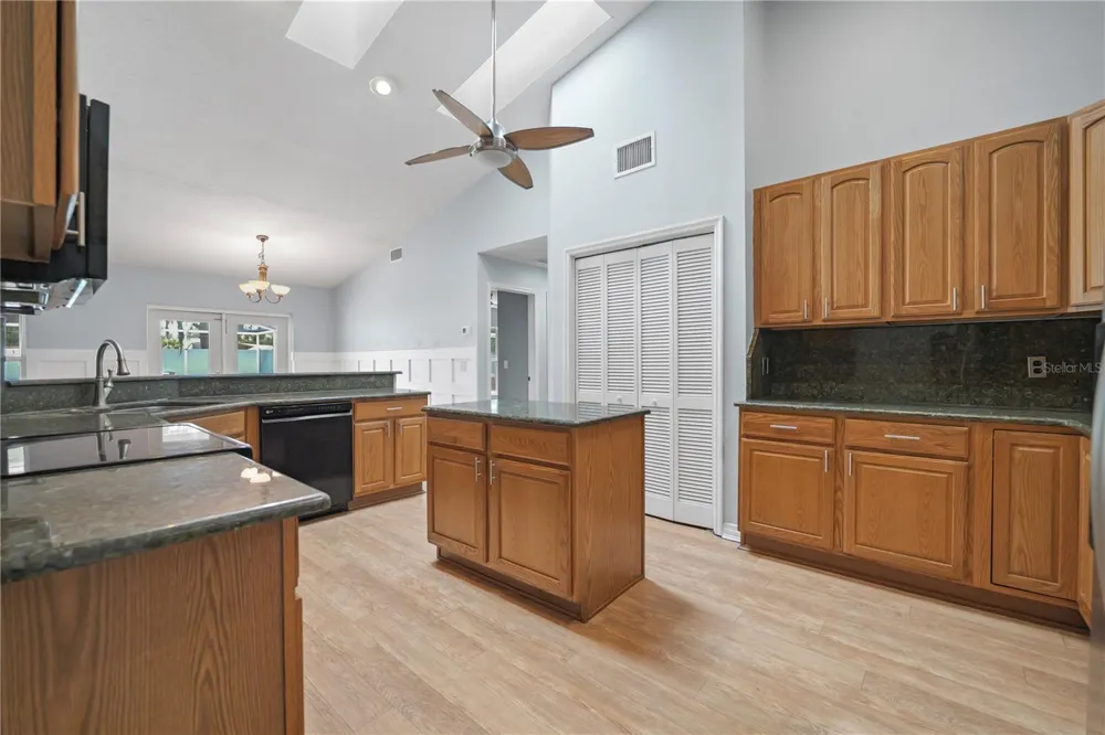 3809 HANOVER HILL DR Valrico, FL 33596