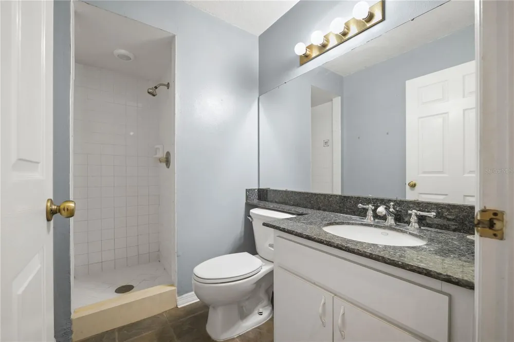 3809 HANOVER HILL DR Valrico, FL 33596