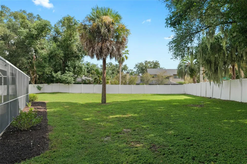 3809 HANOVER HILL DR Valrico, FL 33596