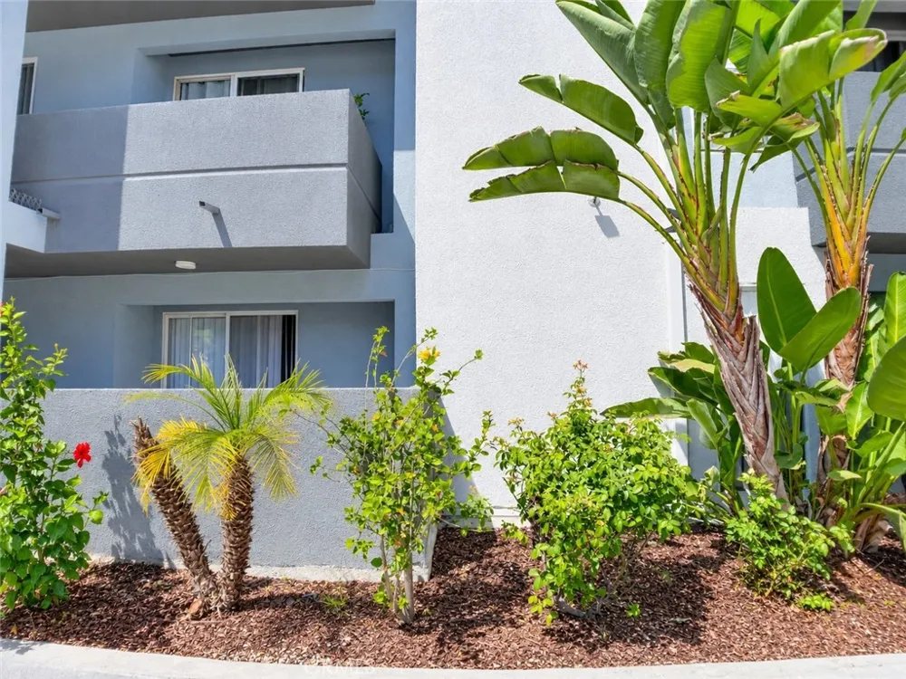 11657 Oxnard Street #212 North Hollywood, CA 91606