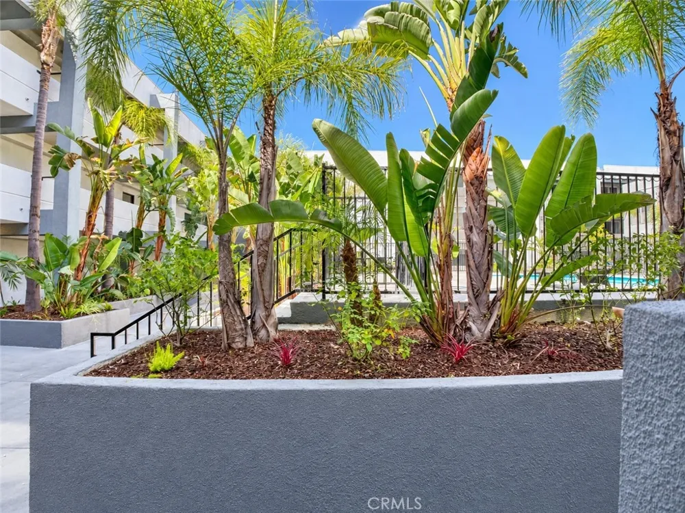 11657 Oxnard Street #212 North Hollywood, CA 91606