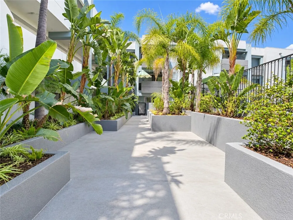 11657 Oxnard Street #212 North Hollywood, CA 91606