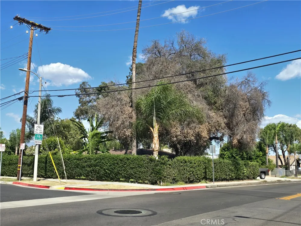 1239 S Vine Avenue Ontario, CA 91762