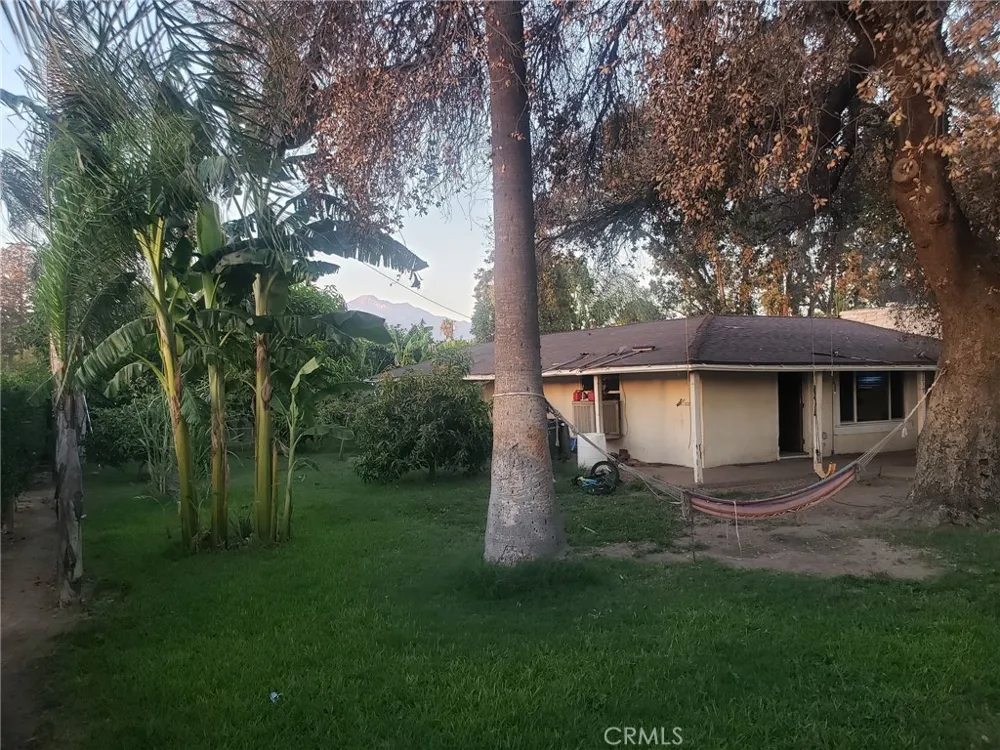 1239 S Vine Avenue Ontario, CA 91762