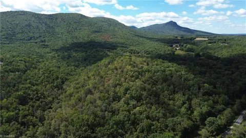 1541-1345 NC Highway 89 W #Tract# 1 - 97.86 ac