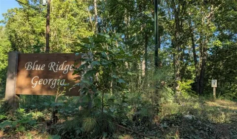 LOT 1 White Oak Circle