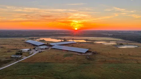 925 County Road 2341