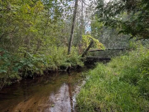 22313 10 Mile Road