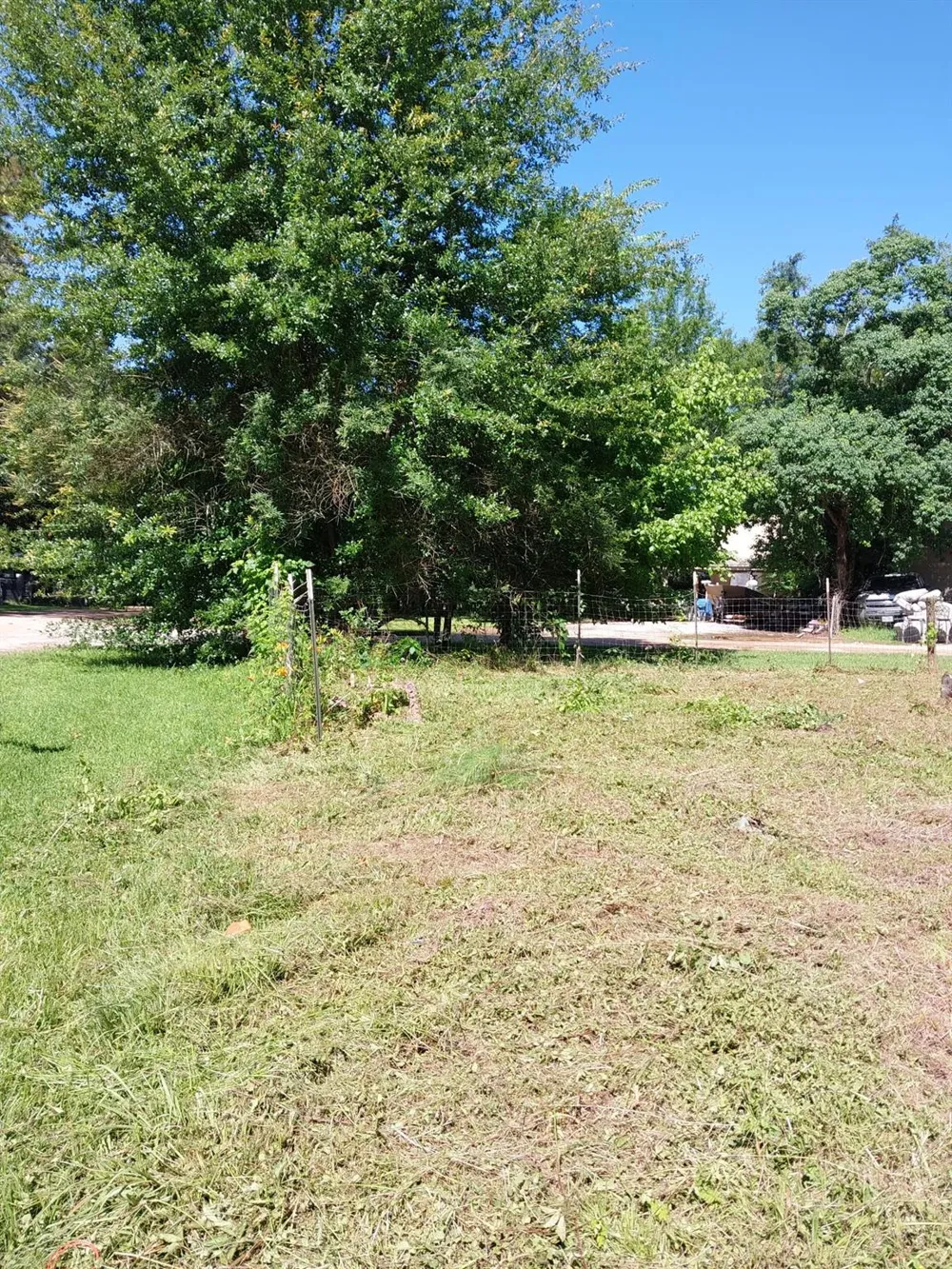 9090 Marigold Street Willis, TX 77318