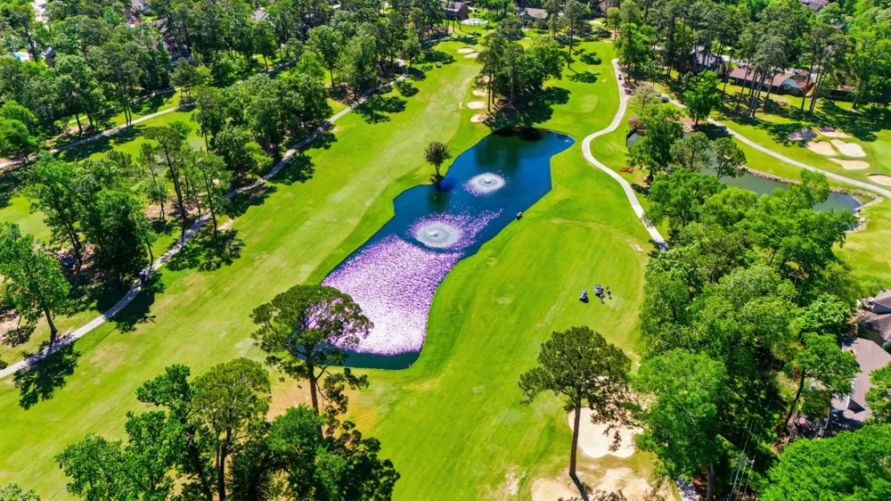 40 La Jolla Circle Montgomery, TX 77356