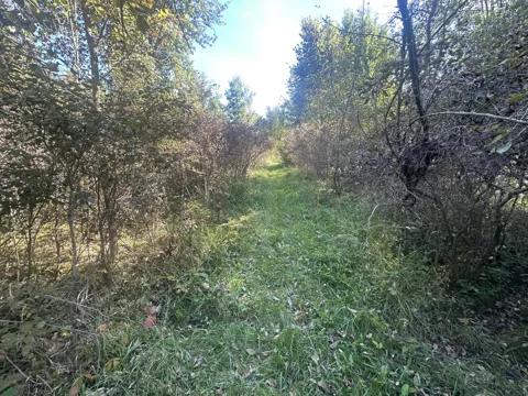20 Mile Road