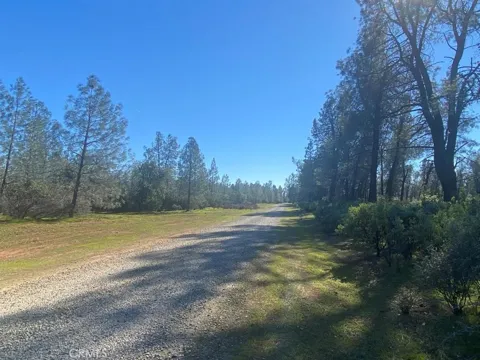 Heavenly Valley Drive