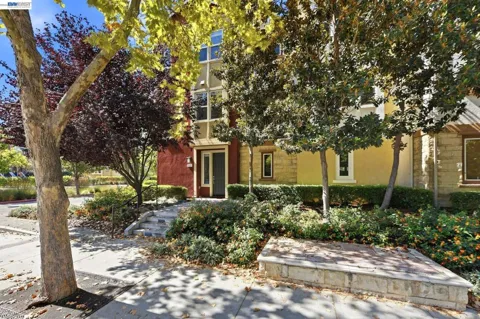 1565 McCandless Dr