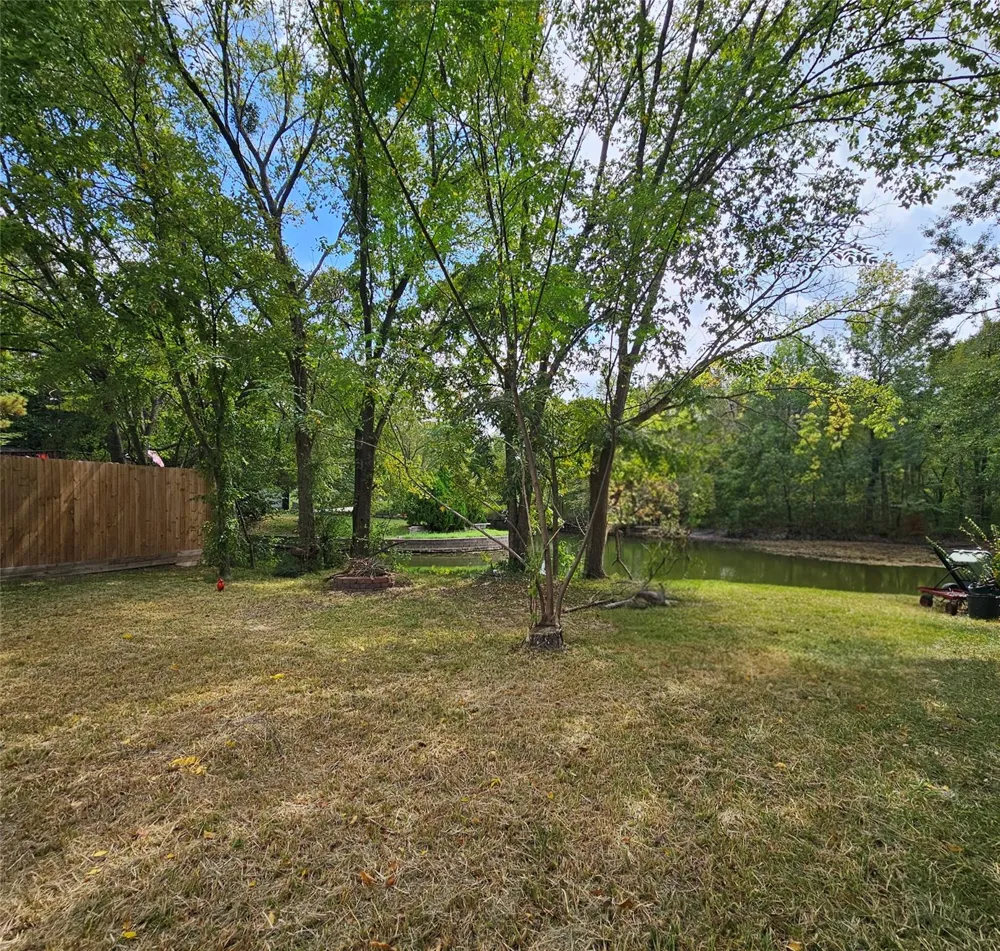 Scarlet Oak Willis, TX 77318