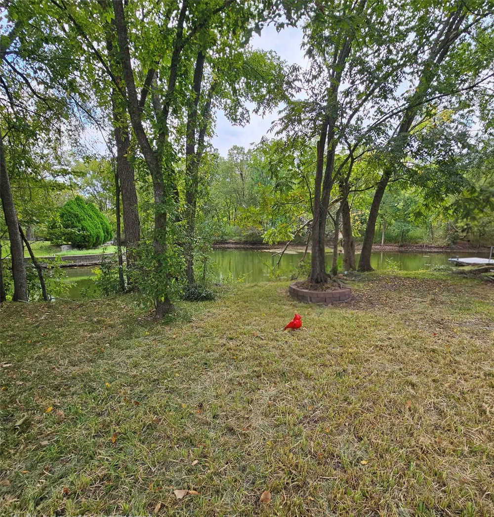Scarlet Oak Willis, TX 77318