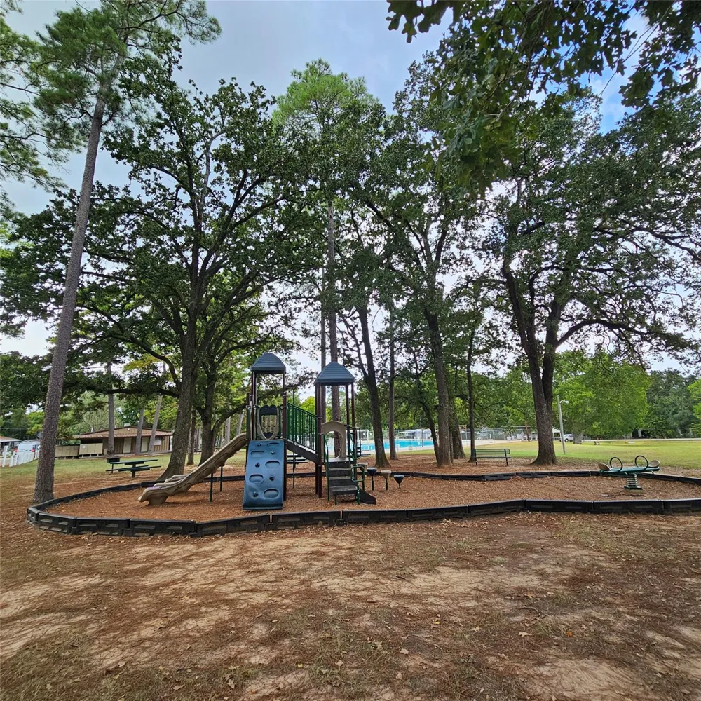 Scarlet Oak Willis, TX 77318