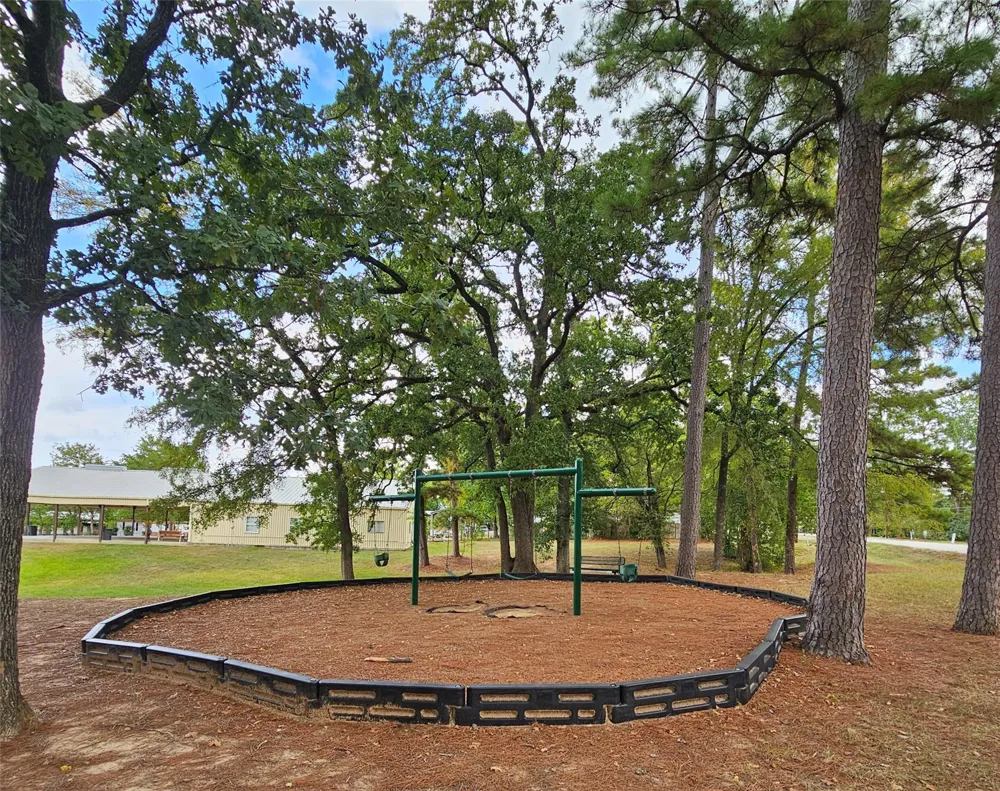 Scarlet Oak Willis, TX 77318