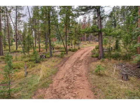 27687 Pine Grove Trail