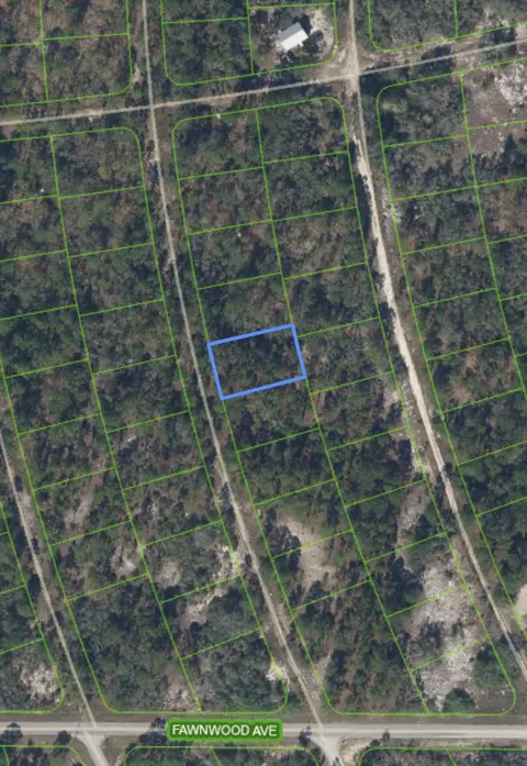 213 SUNFLOWER DRIVE