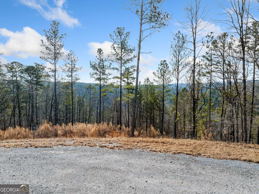 198 Blalock Mountain Crt Ellijay, GA 30540