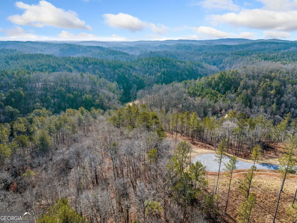 198 Blalock Mountain Crt Ellijay, GA 30540