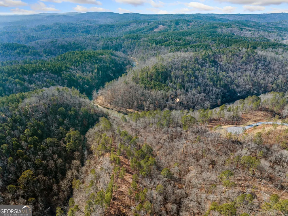 198 Blalock Mountain Crt Ellijay, GA 30540