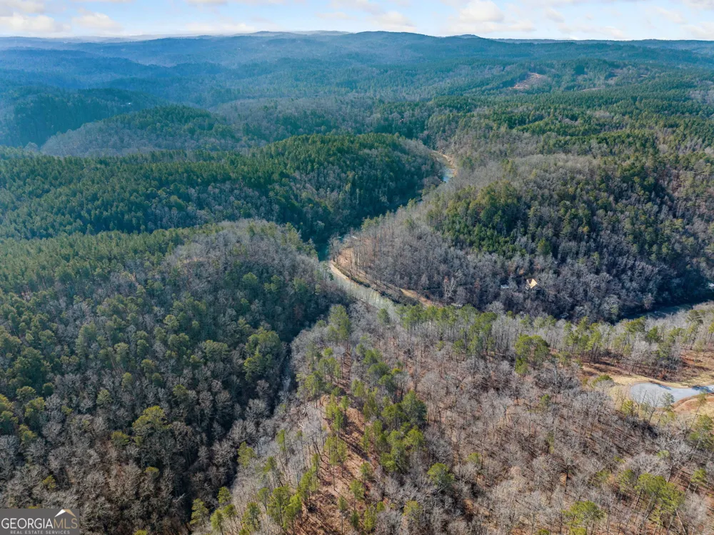 198 Blalock Mountain Crt Ellijay, GA 30540