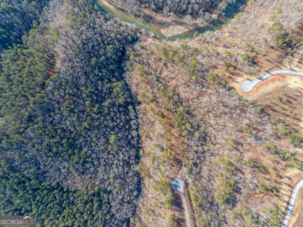 198 Blalock Mountain Crt Ellijay, GA 30540