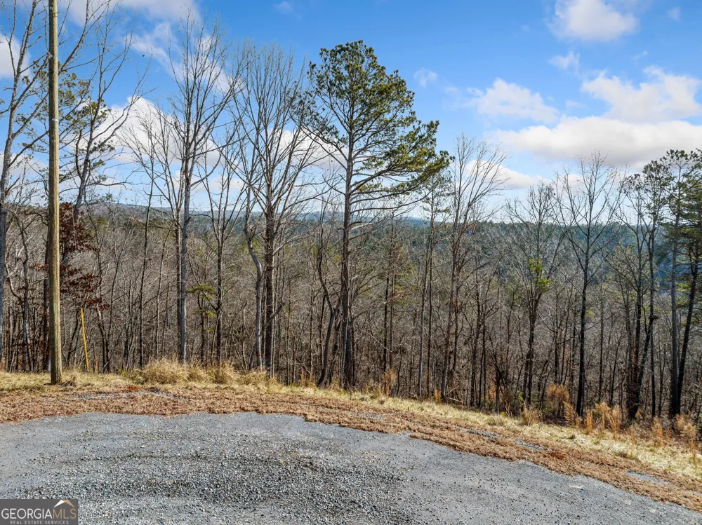 198 Blalock Mountain Crt Ellijay, GA 30540